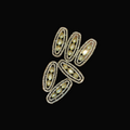 Premium brass connector