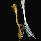 Fuse wire / ball pins || golden and silver colour || 10 grams - 100grams pack || raw materials ||