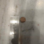 Mdf ||  100 pcs pack || 2 sizes available||