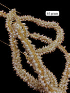 Rice Loreal || Premium Quality ||