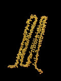 Ghungru Chain ||