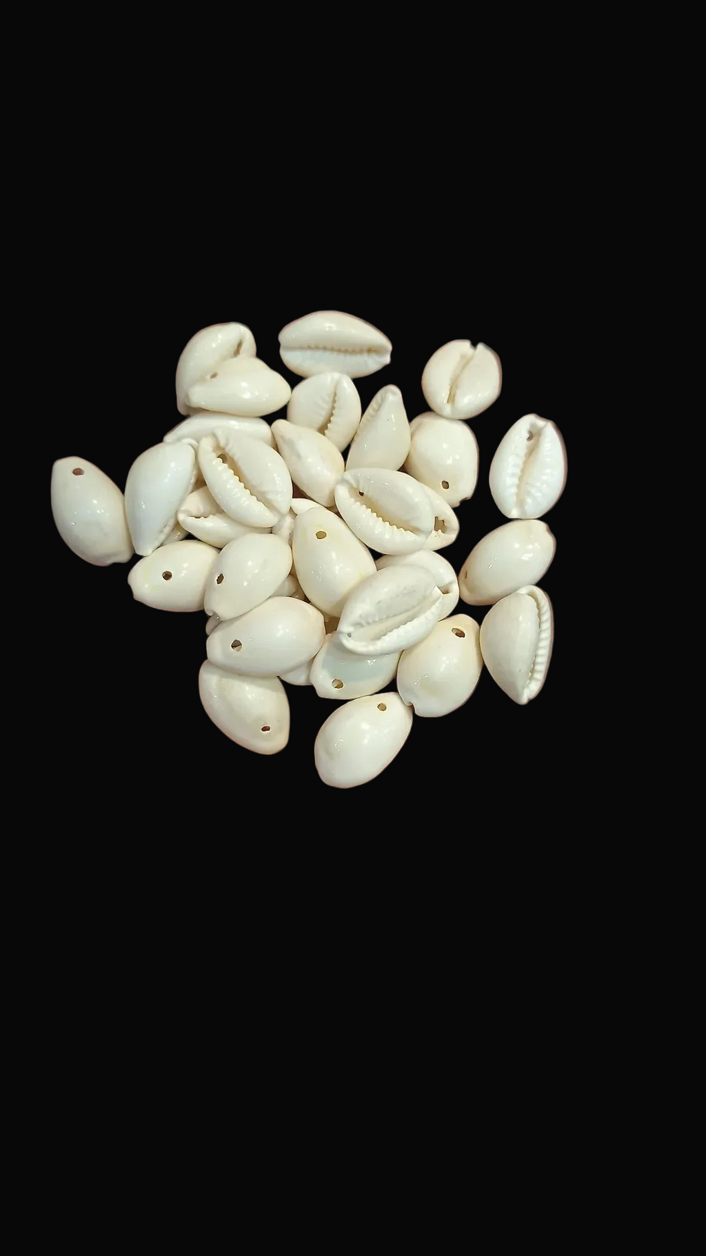 Natural Cowry shells || 50 grams - 100 grams pack ||