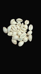 Natural Cowry shells || 50 grams - 100 grams pack ||
