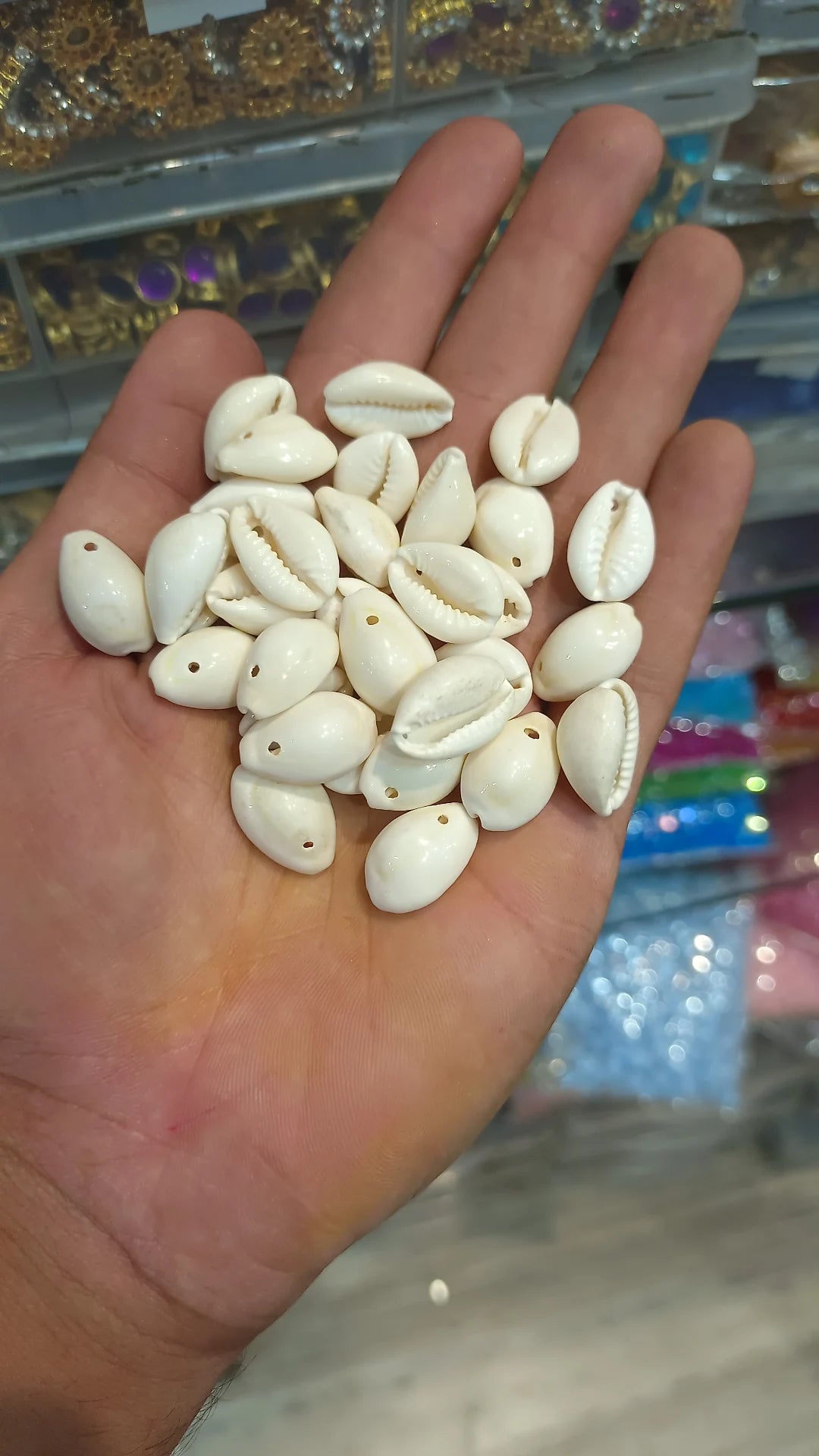 Natural Cowry shells || 50 grams - 100 grams pack ||