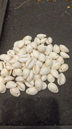 Natural Cowry shells || 50 grams - 100 grams pack ||